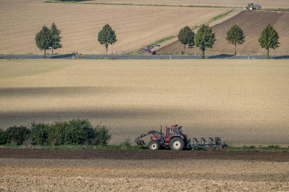tractor in the background of the field