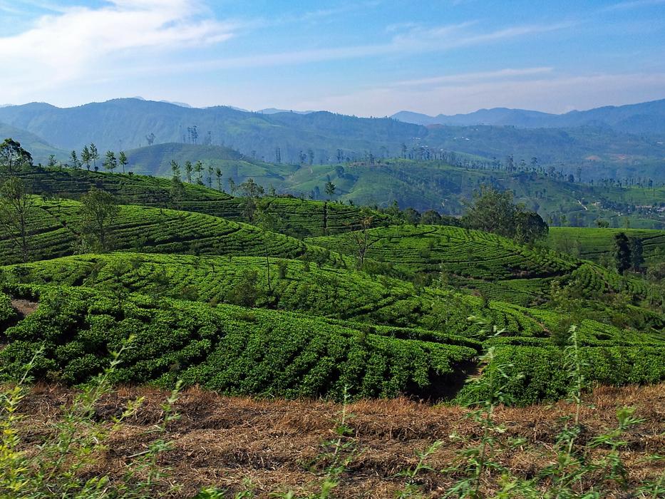 Sri Lanka Mountains Highlands
