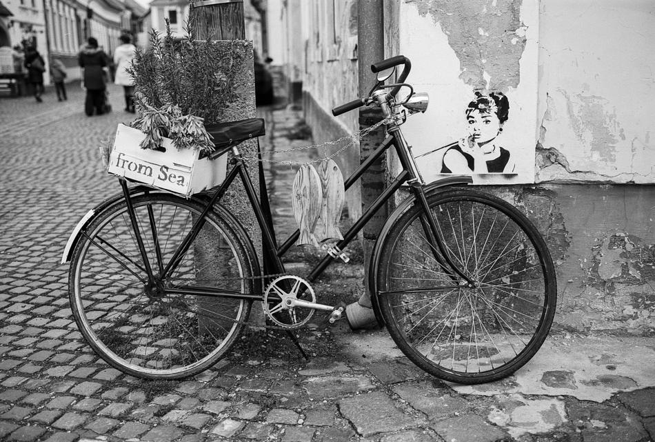 Bike Bicycle Two