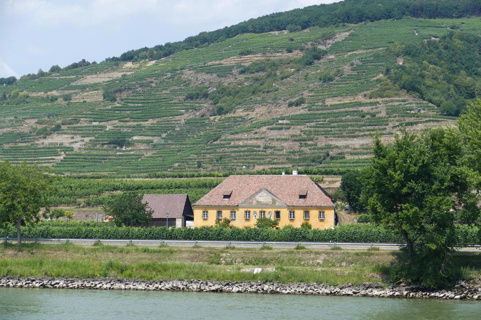 old house in green trees