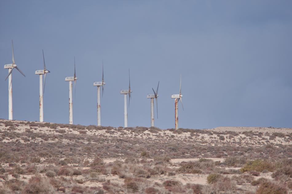 wind turbine park in the desert