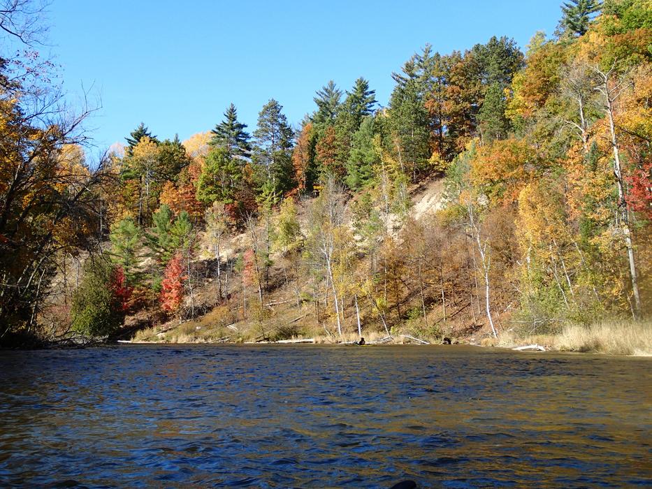 cozy lake landscape in the woods