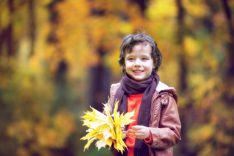 boys with yellow leaves in the forest on a blurred background