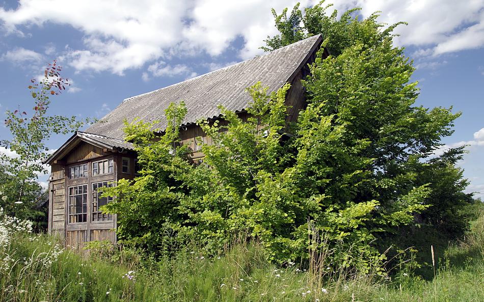 Cottage Old Wooden and green grass and bush