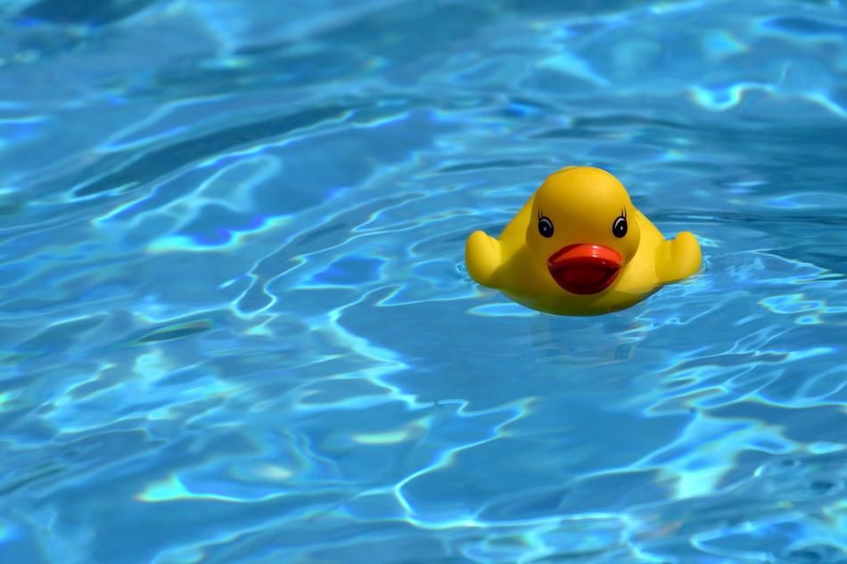 Duck Water Toy