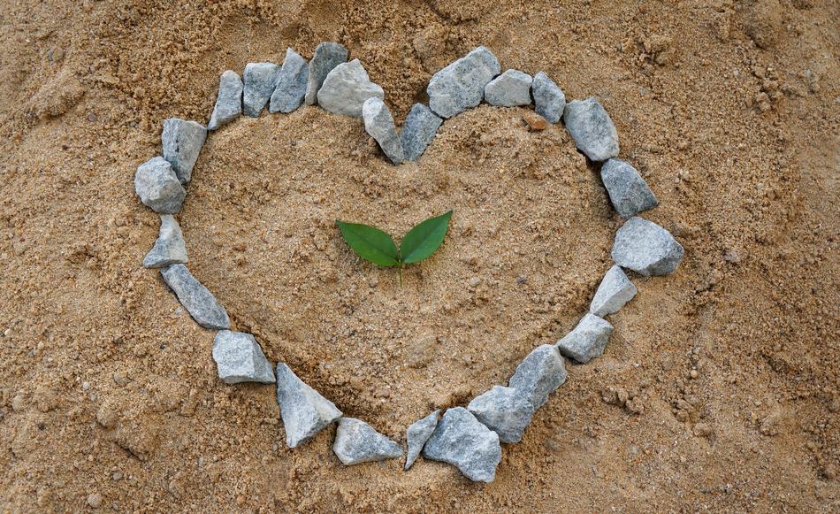 The stone heart with the leaf is beautiful.