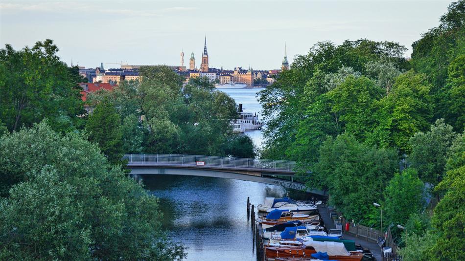view of the park with the bridge