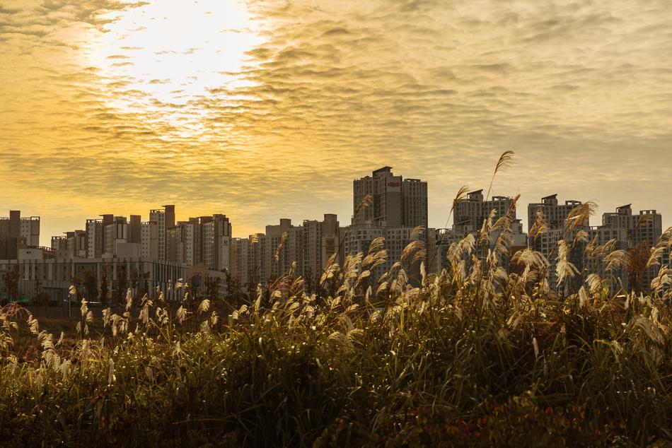 sunset gold city