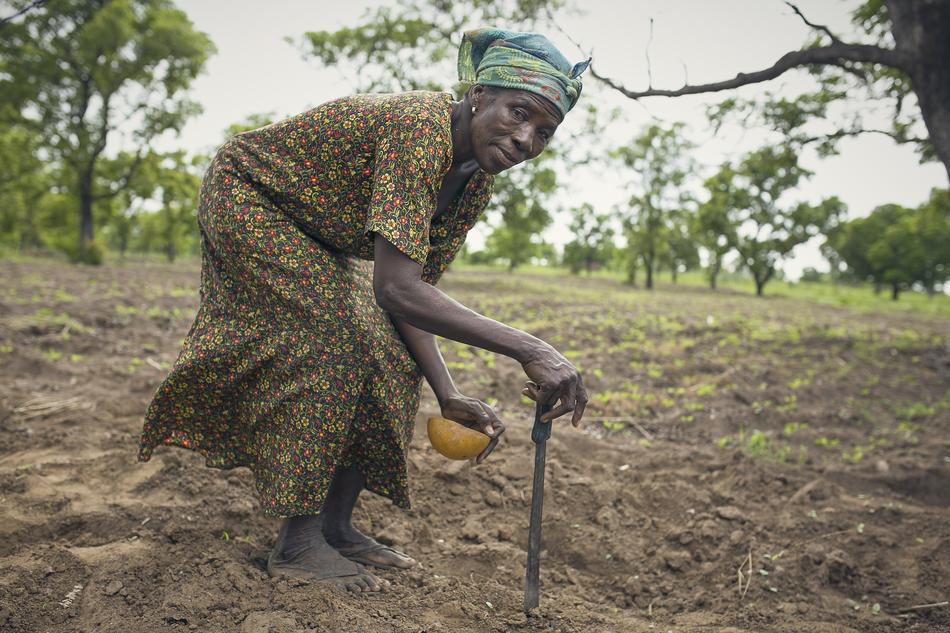 Farmer Woman in Africa