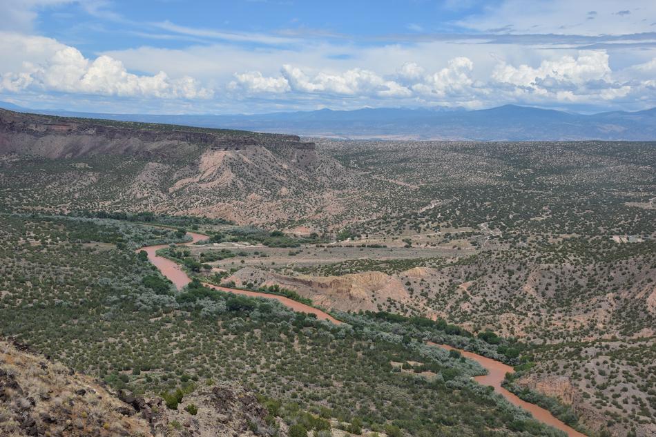 desert green top view