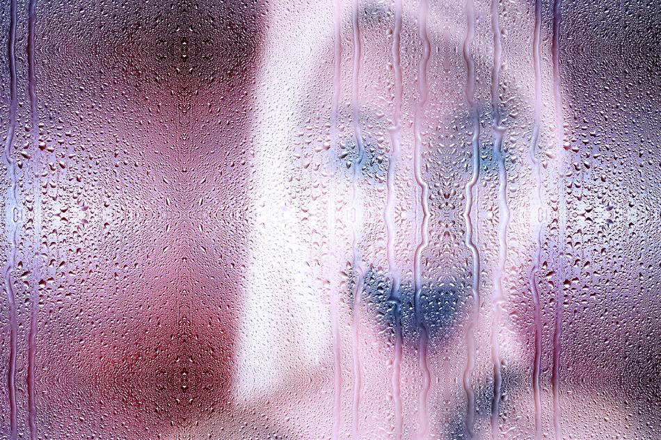 Woman Face Portrait