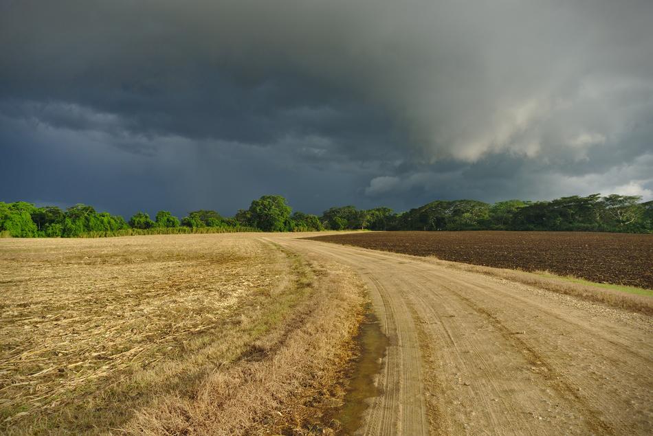 Field Road Rural
