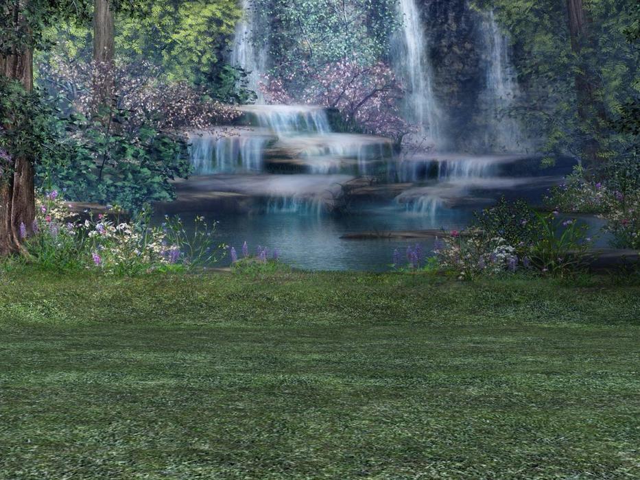 background water tree grass meadow