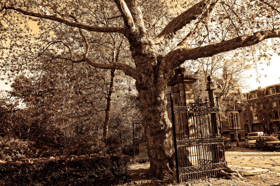 Beautiful entrance of the beautiful Vondelpark in Amsterdam, Netherlands