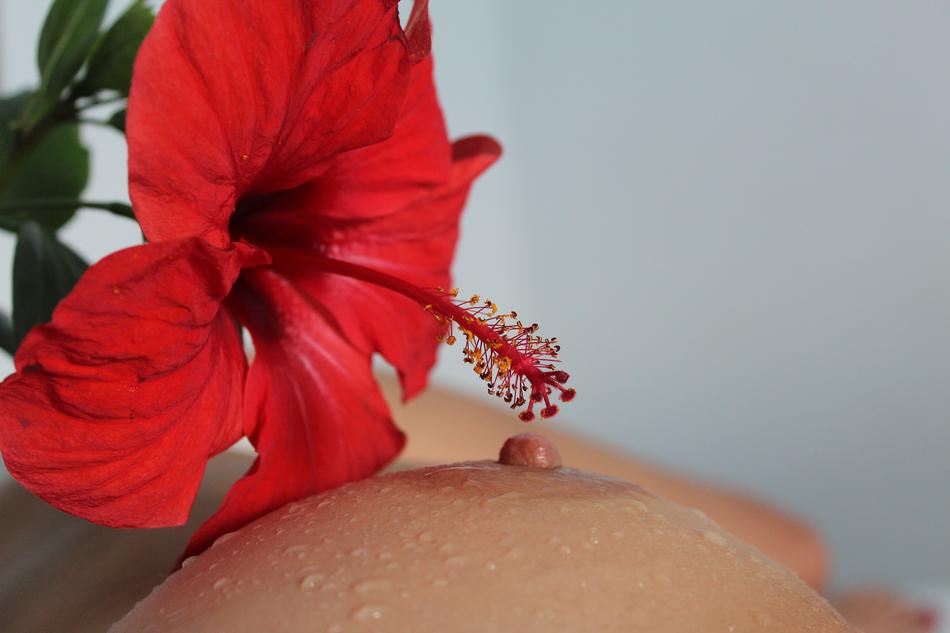 Erotica Breast Nipple