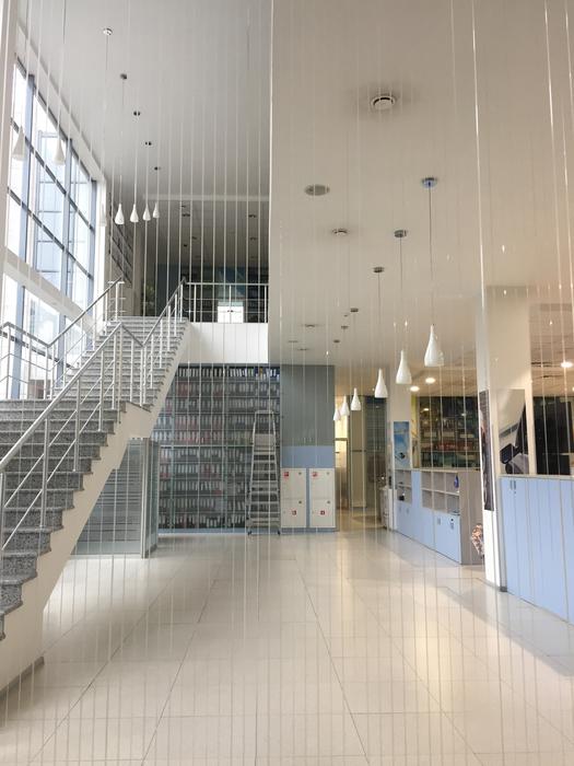 Interior of the office with furniture and windows