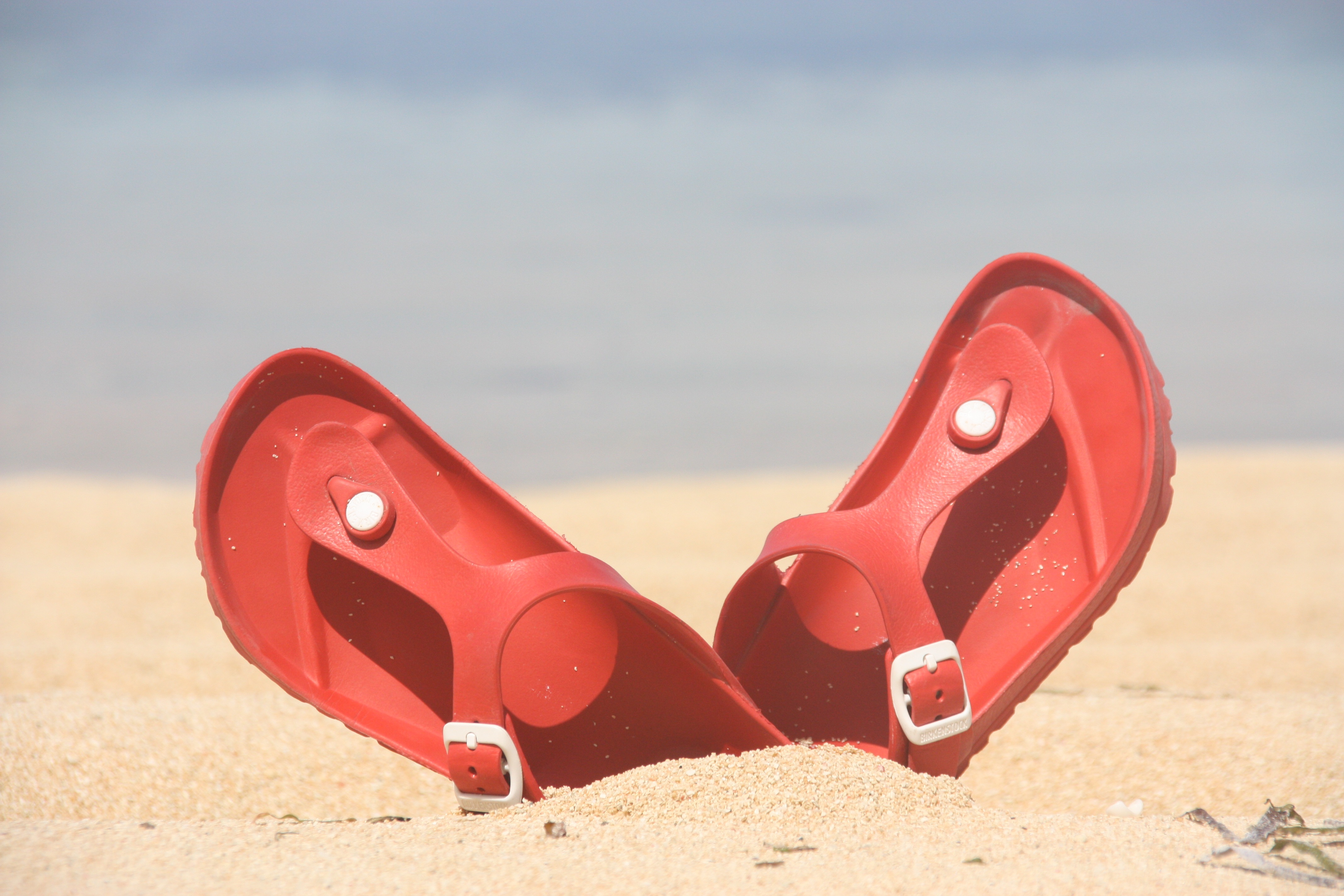 Holiday Relaxation Flip Flops free image download