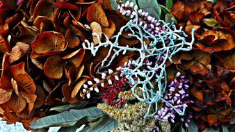 beautiful decorative flowers landscape