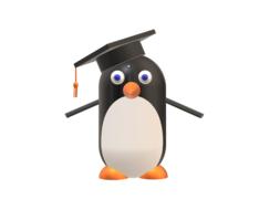 penguin 3d character drawing