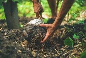Soil Land Environment
