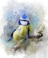 blue Tit Bird art