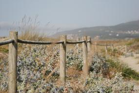 wooden fence near the field