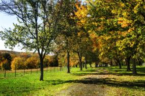 Color Autumn Fall