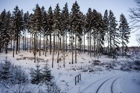 Wintry Resin Snow