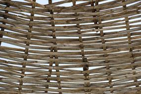 Brown Abstract Wire Mesh