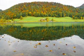 autumn leaves on the lake