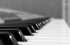 Piano Music keys macro photo