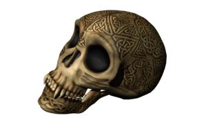 skull with ornament on a white background