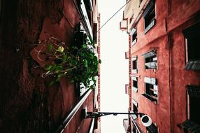 Architecture Building red facades