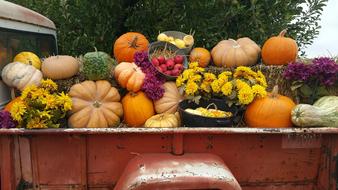 vegetable cart