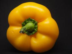 yellow healthy vegetable