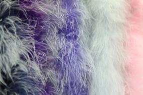 Close-up of the colorful, soft boa feathers