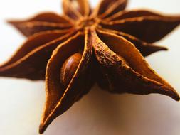 Star Anise
