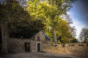 House Field Rustic