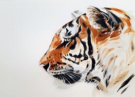 tiger animal nature painting