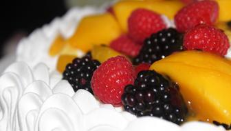 fruit cake with cream