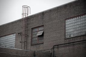 Architecture Building windows