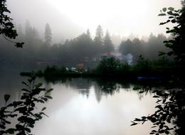 a lake with bushes by the house