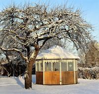 snow trees in the gazebo