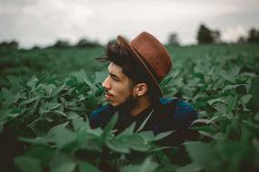 man in the tea fields