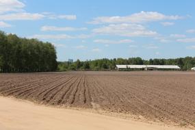 sowing field