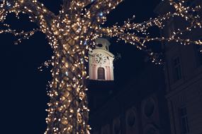 Tree with the beautiful and colorful Christmas lights near the building, at the night