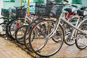 Colorful bicycles with baskets, on the parking lots in the park