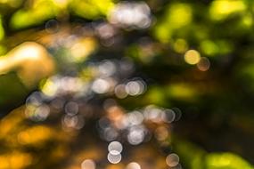 Blur Bokeh Background