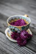 Purple Violet Color