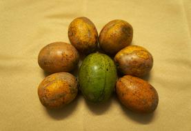 healthy fruits are green